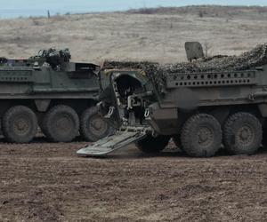 Transportery Stryker na Ukrainie