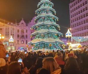 Ale blask! Choinka we Wrocławiu już świeci! Świątecznie rozświetliła cały Rynek [ZDJĘCIA]