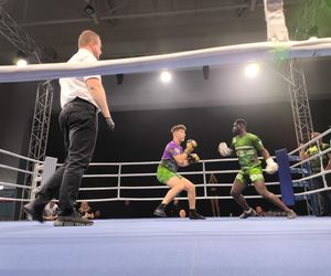 Walczyli dla Krystiana. Charytatywna gala boksu Hero Boxing Fighters 3 „Jungle”