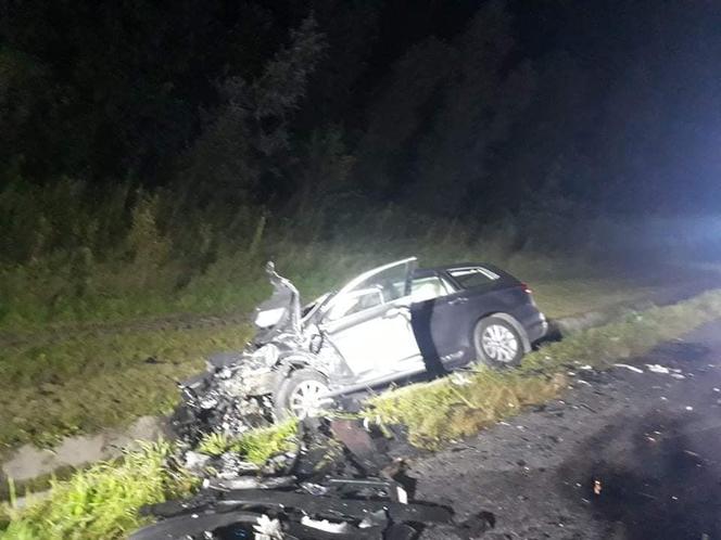 Jeleń doprowadził do tragedii w Małopolsce