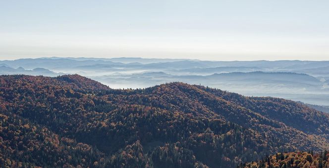 To miejsce w Małopolsce najpiękniej wygląda późną jesienią według AI. Ma status kultowego