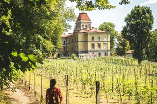 Nie tylko Cieszyn i Ustroń. Nieznany Śląsk Cieszyński to pałace, winnice i stare dęby - zwiedzaj śladami Wędrownych Motyli