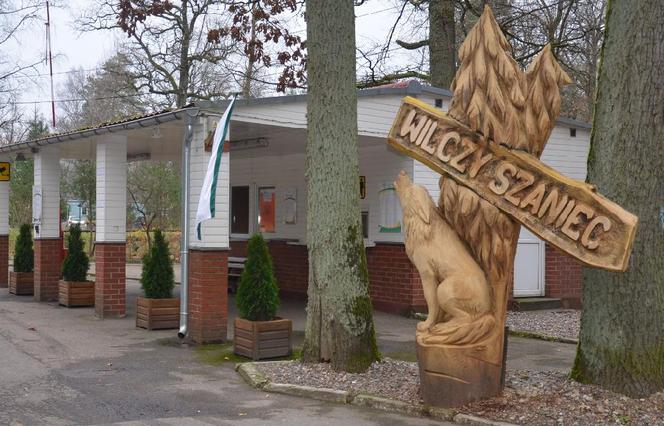 Wilczy Szaniec. Dokonano kolejnych znalezisk w dawnej kwaterze Hitlera w Gierłoży