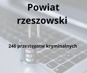 To tu na Podkarpaciu dochodzi do największej liczby przestępstw kryminalnych