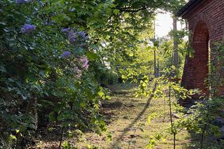 Stara szkoła nad Bugiem. Dom Kasi i Patryka
