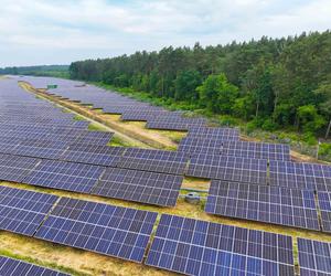 Diecezja Płocka producentem prądu. W mieście powstała farma fotowoltaiczna za grube miliony