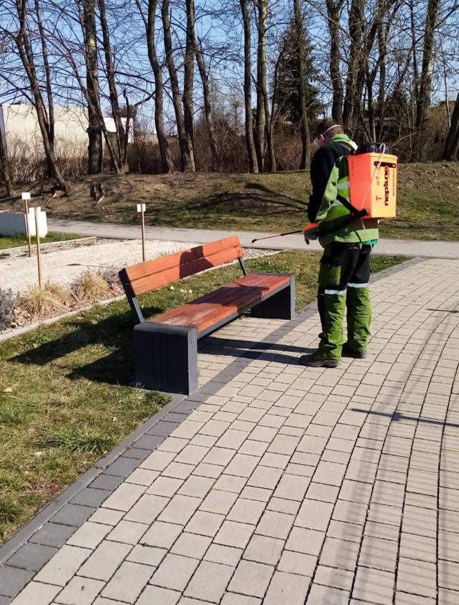 Katowice walczą ze skutkami epidemii koronawirusa 