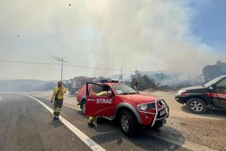 Polscy strażacy gaszą pożary w Grecji