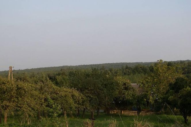 Góra Altana - najwyższy szczyt Mazowsza