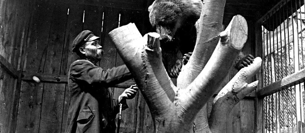 Zoo w Zamościu na starych zdjęciach