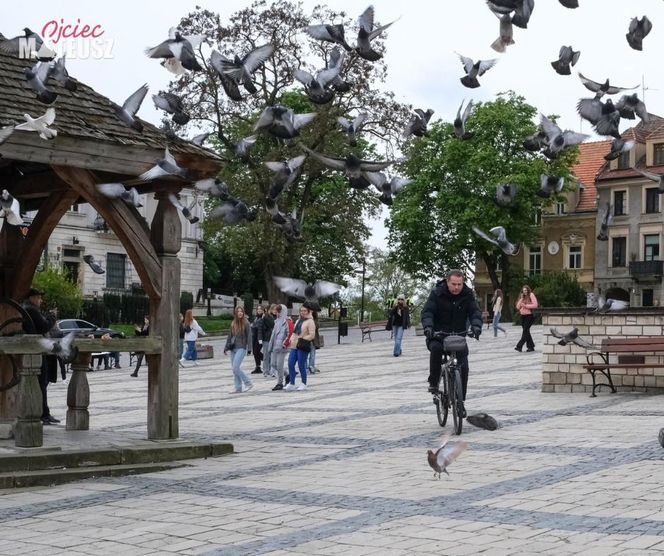 Znane miejsca w świętokrzyskim na planie Ojca Mateusza