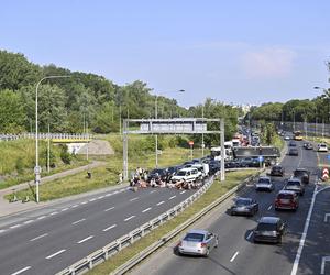  Aktywiści z Ostatniego Pokolenia sparaliżowali ruch. Kierowcy: Ktoś powinien zrobić z nimi porządek!