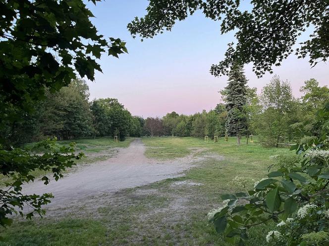 We Wrocławiu ma powstać nowa plaża. Sprawdź, gdzie planowany jest nowy beach bar