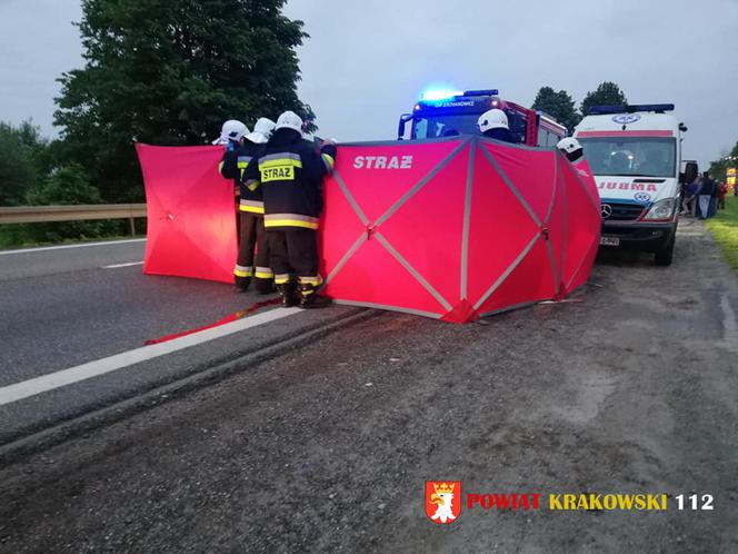 Tragiczny wypadek na trasie Kraków-Olkusz. Ciężarówka śmiertelnie potrąciła pieszego