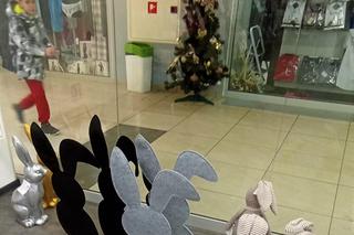 W niektórych sklepach można już poczuć Wielkanoc