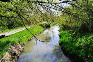  Co dalej z Parkiem Kulturowym Stary Radom? Miasto będzie składało wniosek o pieniądze z funduszy europejskich 