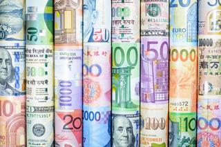 Kursy walut [6.11.2023]. Ile kosztuje euro, dolar, frank?