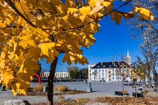 Opolscy studenci chcą sięgnąć gwiazd!