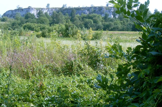 Skałki Twardowskiego