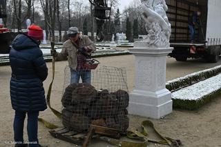 Nowe rzeźby w Ogrodach Branickich. To Flora, Ceres, Bachus i Saturn [ZDJĘCIA]