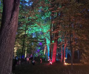 Olsztyn zamienił się w magiczną krainę. Park Świateł przyciągnął tłumy!