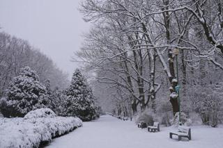 Pogoda na ferie zimowe na Podlasiu. Czy w Białymstoku i okolicach będzie śnieg?