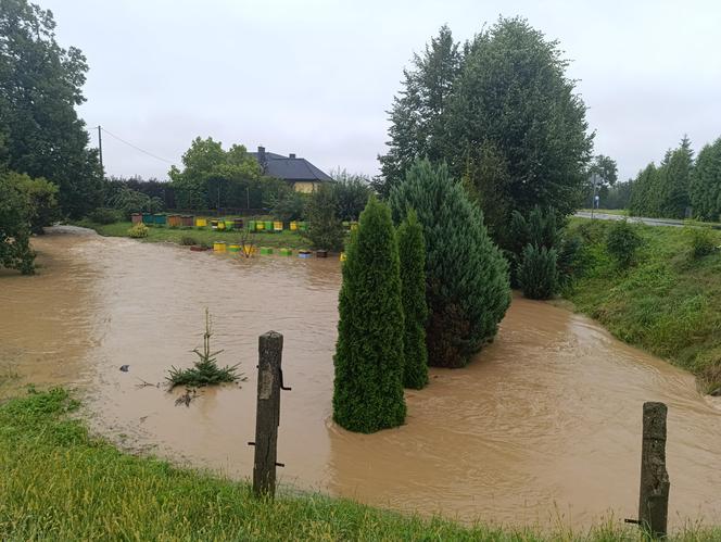 Zagrożenie powodziowe. Głuchołazy. Woda przelała się przez wały. Zalewa miasto