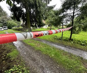 Zabójstwo pod Iławą