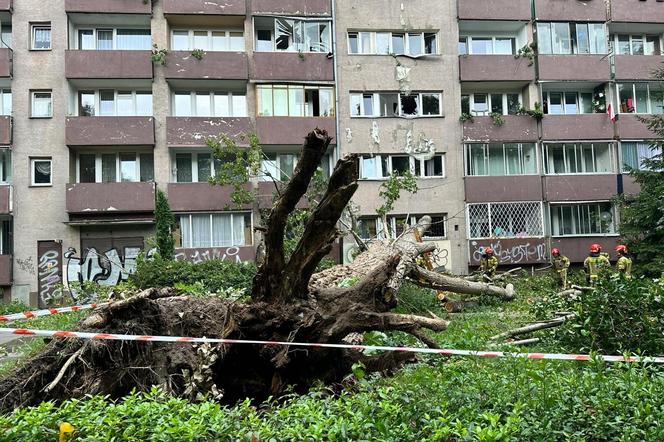  Drzewo runęło na blok! Roztrzaskane szyby w oknach, rozryta elewacja i zarwane balkony