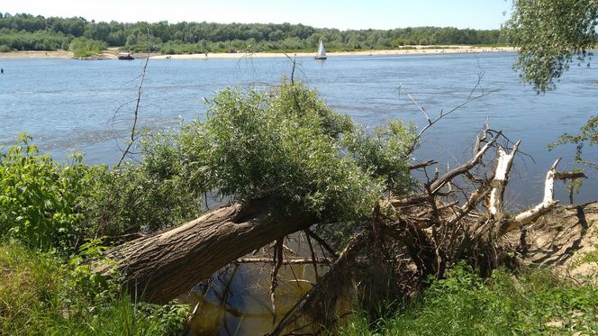 Niewiele osób wie o tej plaży nad Wisłą. Nazwa w pełni oddaje jej urok