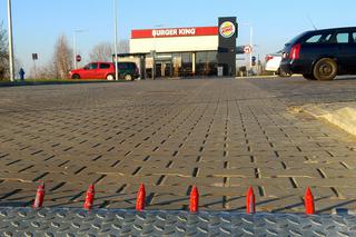 Kolczatka przy Burger King