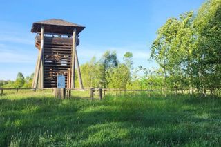 Wieża widokowa w Kruszynianach