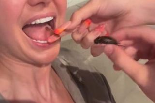 Egzotyka wg Rutkowskich. Krzysztof junior zajada robaki jak chipsy