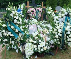 Rąbnęli w łosia, osierocili synka