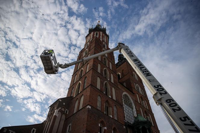 Zdjęcie korony królewskiej z wieży bazyliki Mariackiej