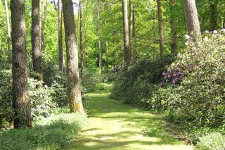 Magiczne miejsce godzinę drogi od Wrocławia. Niewielu turystów tu trafia 