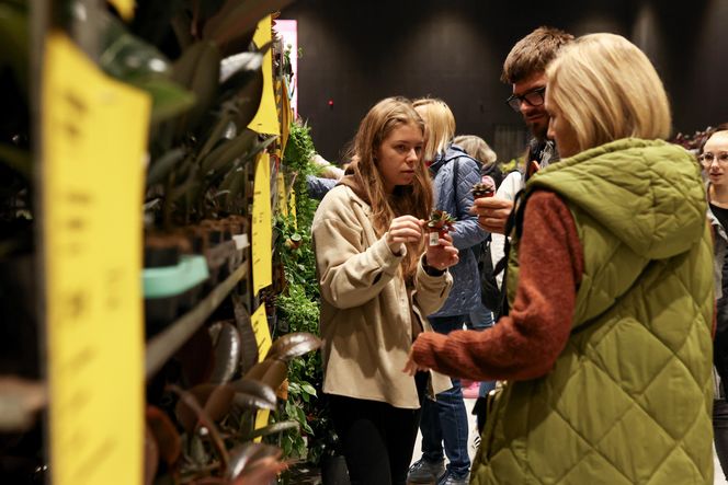 Festiwal roślin odbywa się w Katowicach