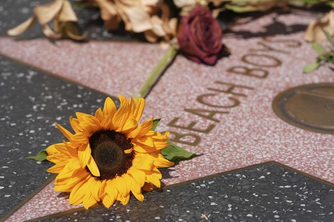 Brian Wilson nie żyje! Odeszła legenda muzyki lat 60