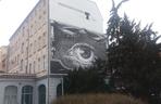 Murale w Bydgoszczy. Piękne obrazy zdobią nasze ulice