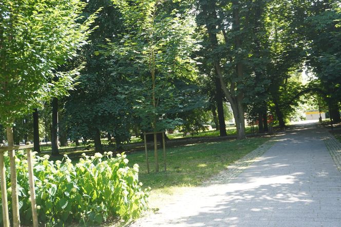 Park Miejski w Sandomierzu