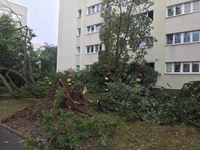 Kataklizm na Bielanach: Wichura, ulewa, powyrywane z korzeniami drzewa, zniszczone samochody!