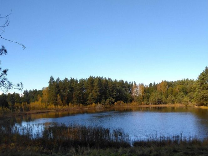 Wigierski Park Narodowy