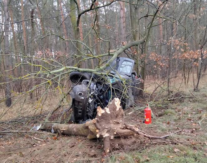 Makabryczny wypadek niedaleko Torzymia. To cud, że nikt nie zginął!