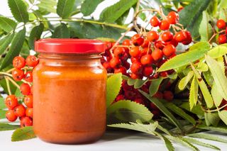 Domowy ketchup bez pomidorów. Składniki znajdziesz za darmo w każdym parku