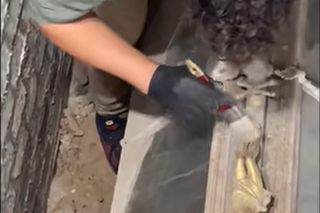 Szklana trumna z XIX wieku pod posadzką poznańskiej świątyni