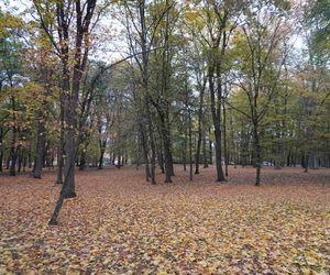 Park Lubomirskich w Białymstoku jesienią 