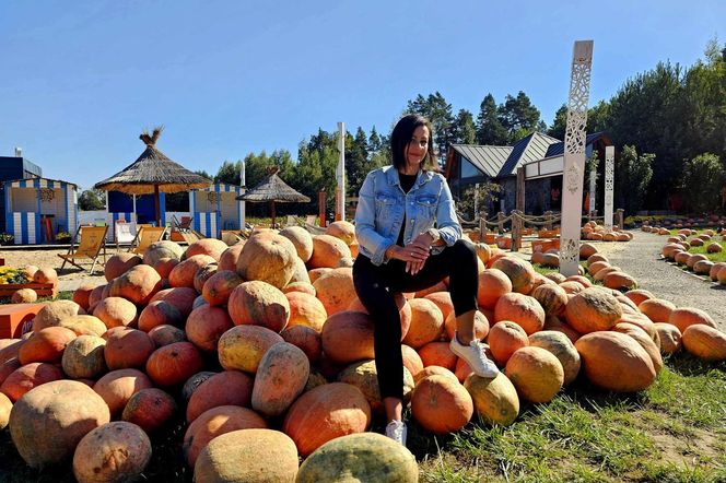 Westernowa farma dyniowa w Radawie.