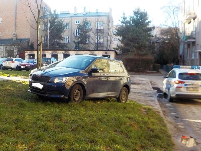 Mistrzowie parkowania na trawnikach