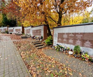 Grób synów Lecha Wałęsy, Przemysława i Sławomira