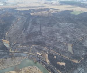 Pożar traw pod Radomiem - Ogniem objęte było 90 hektarów